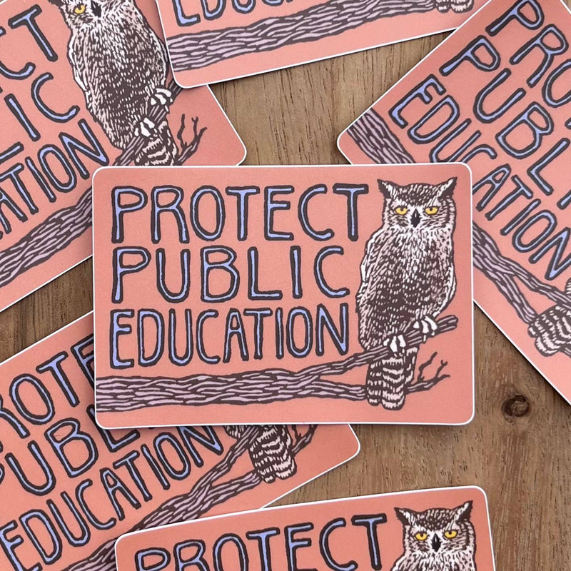 Protect Public Education Sticker | matte vinyl owl - Art Department LLC