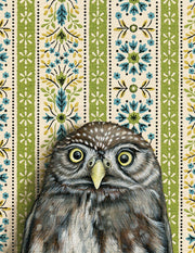 Pygmy Owl - Note Card - Art Department LLC