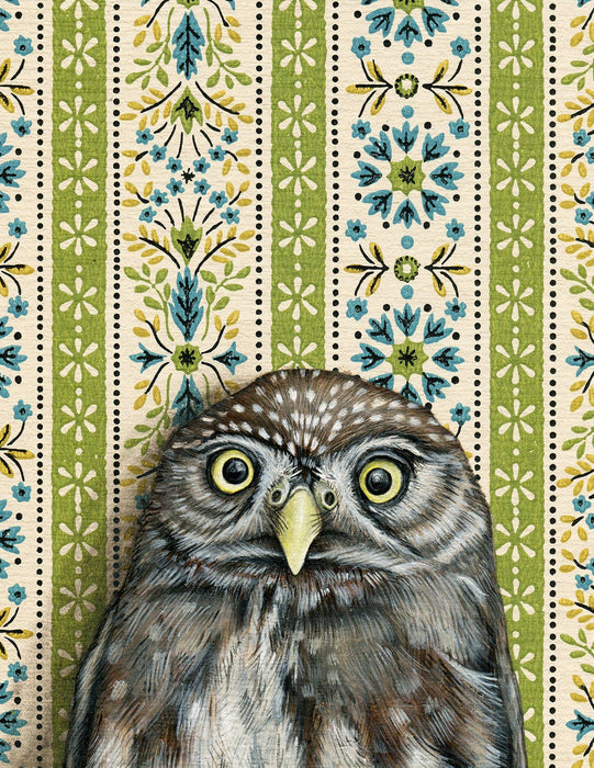 Pygmy Owl - Note Card - Art Department LLC