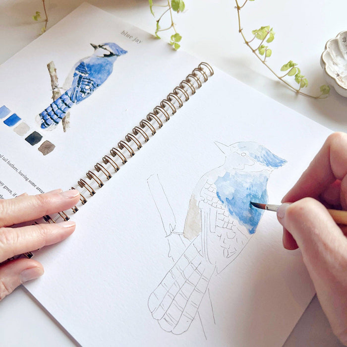 Birds watercolor workbook - Art Department LLC