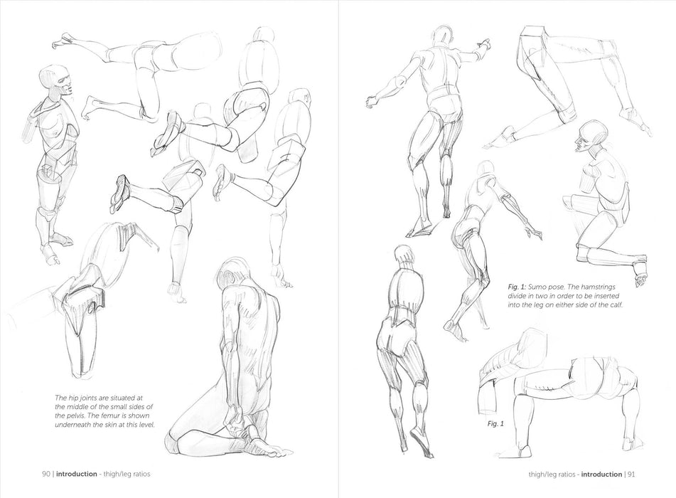 Morpho: Simplified Forms - Art Department LLC