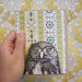Pygmy Owl - Note Card - Art Department LLC