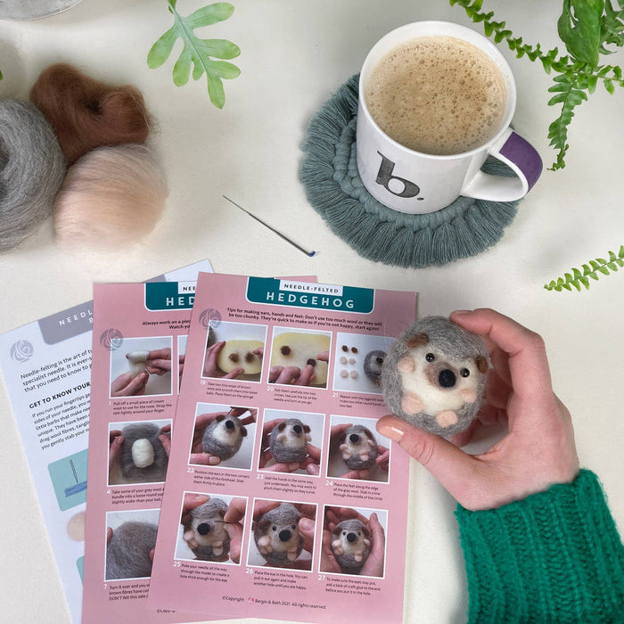 Hedgehog Needle Felting Kit