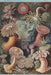 Ernst Haeckel: Sea Anemones 500-Piece Jigsaw Puzzle