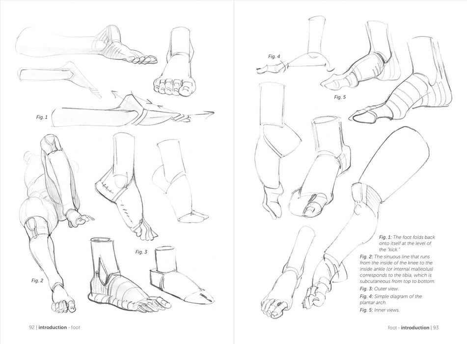 Morpho: Simplified Forms - Art Department LLC