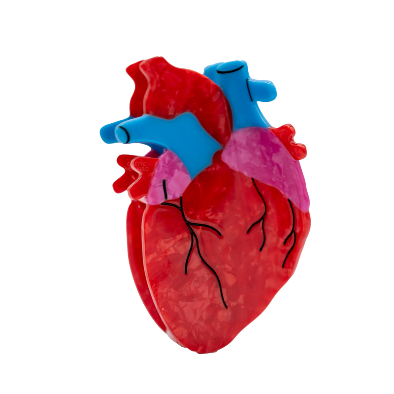 Anatomical Heart Hair Claw