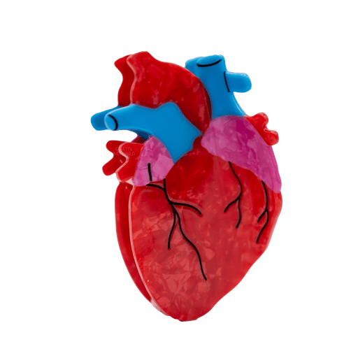 Anatomical Heart Hair Claw - Art Department LLC