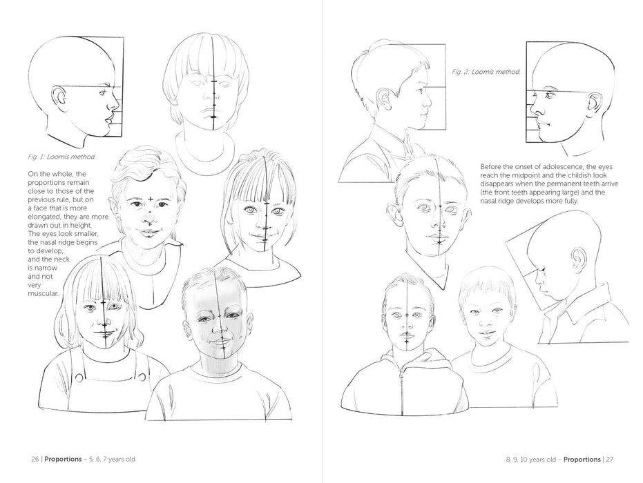 Morpho: Face, Head, And Neck - Art Department LLC