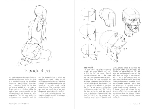 Morpho: Simplified Forms - Art Department LLC