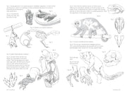 Morpho: Mammals - Art Department LLC