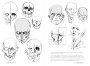Morpho: Skeleton And Bone Reference Points - Art Department LLC