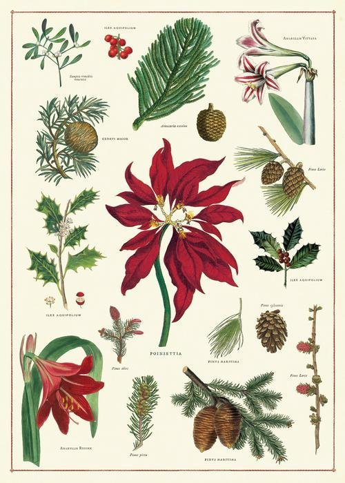 Decorative Paper 19.75 x 27.5 - Art Department LLC