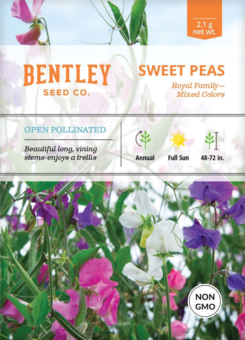 Bentley Seed Co. Seed Packets - Art Department LLC