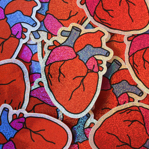 Anatomical Heart Sticker - Art Department LLC