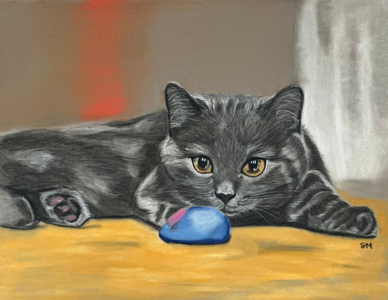 Gray Kitten, Introduction to Pastel Drawing with Shelly Mackerell - Art Department LLC