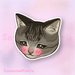 Stickers by SavannahFaerie - Art Department LLC