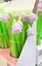 Lily of the Valley Flower Gel Pen - Art Department LLC