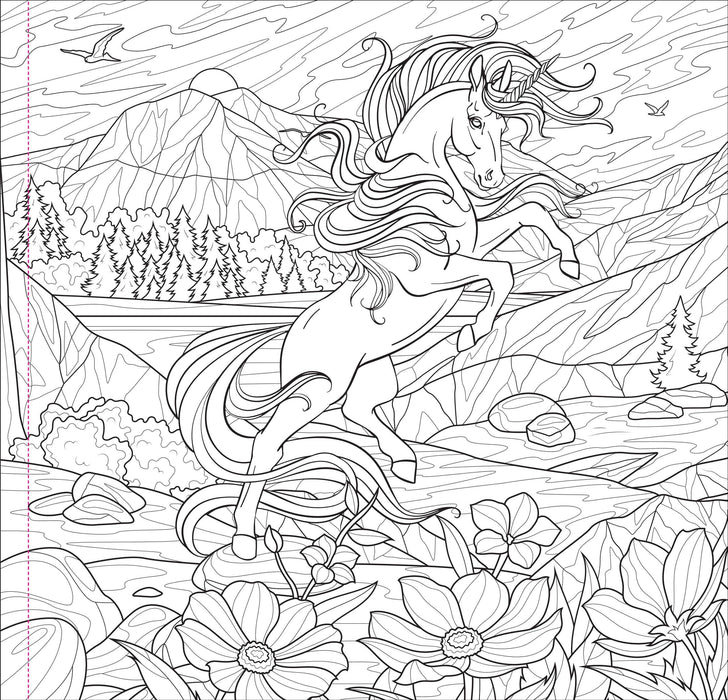 Enchanted Kingdom Adult Coloring Book - Art Department LLC