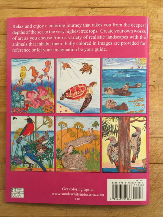 Coloring Book: From The Sea To The Trees