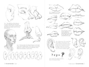 Morpho: Face, Head, And Neck - Art Department LLC