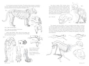 Morpho: Mammals - Art Department LLC