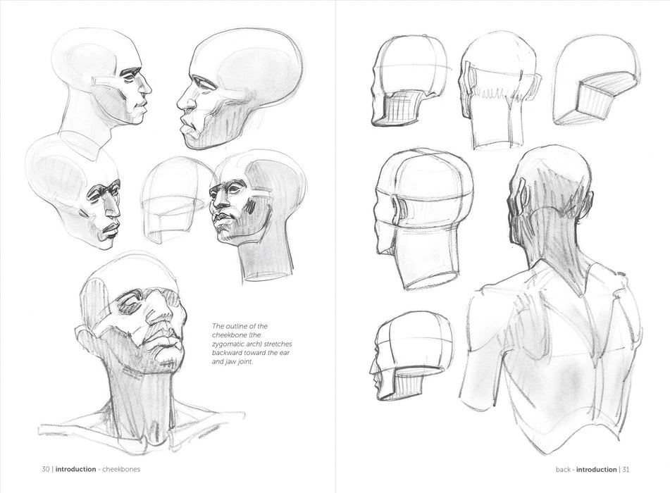 Morpho: Simplified Forms - Art Department LLC