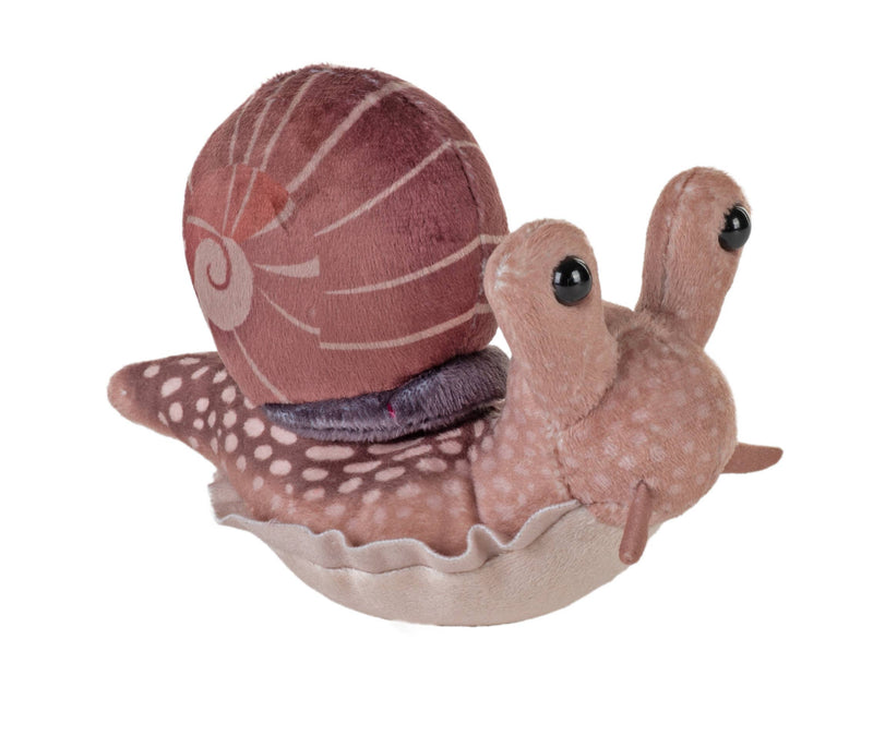 Pocketkins Snail - Art Department LLC