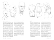 Morpho: Fat And Skin Folds - Art Department LLC