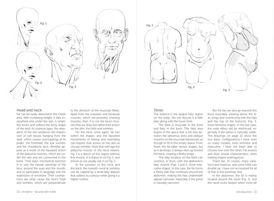 Morpho: Fat And Skin Folds - Art Department LLC