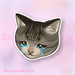 Stickers by SavannahFaerie - Art Department LLC