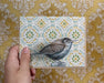 House Wren - Note Card - Art Department LLC
