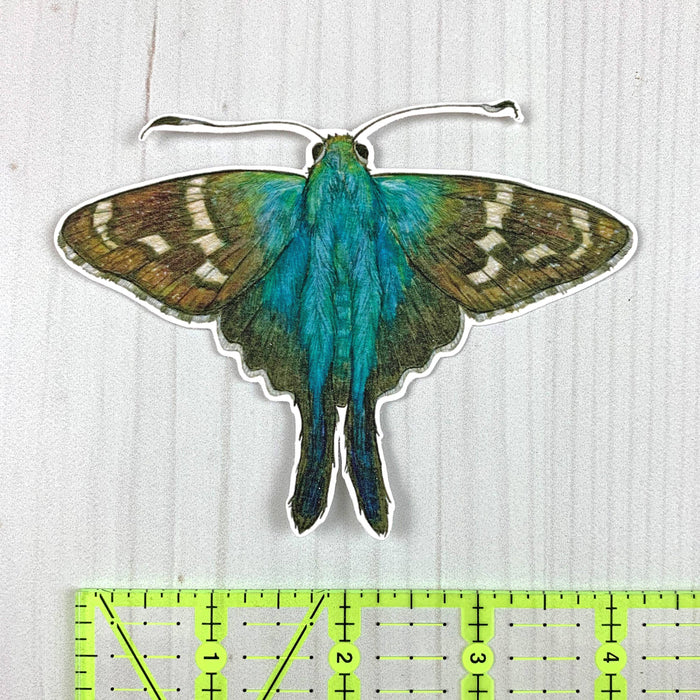 Long Tailed Skipper Butterfly Vinyl Sticker