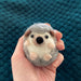 Hedgehog Needle Felting Kit, Finished Project