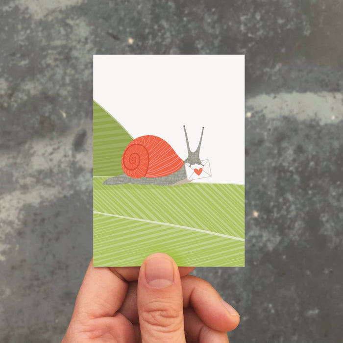 Snail Mail Enclosure - Art Department LLC