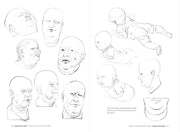 Morpho: Fat And Skin Folds - Art Department LLC