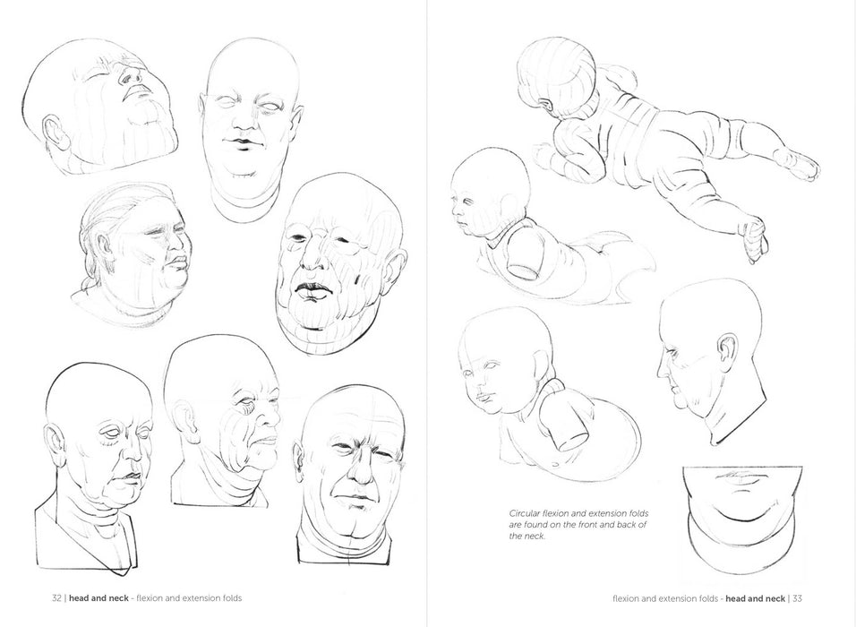 Morpho: Fat And Skin Folds - Art Department LLC