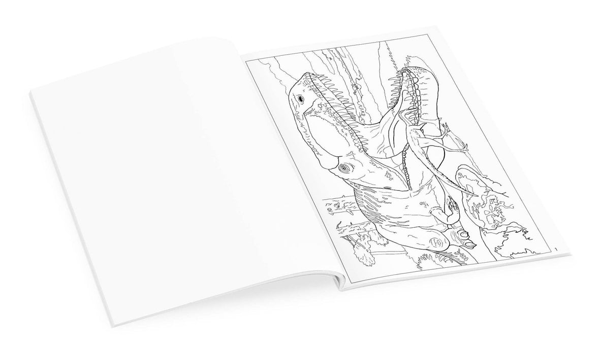 Dinosaurs Coloring Book - Art Department LLC