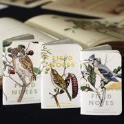 Birds and Trees of North America - Art Department LLC