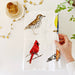 Birds Tea Towel - Art Department LLC