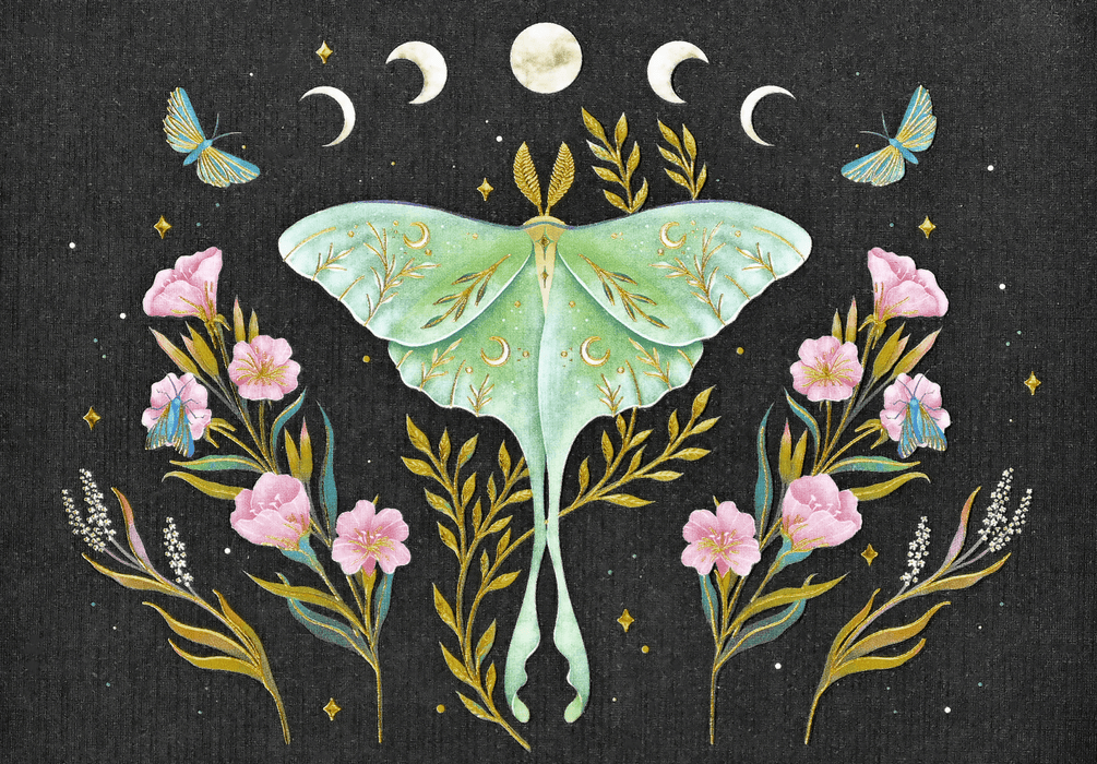 Luna Moth Note Cards - Art Department LLC