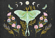 Luna Moth Note Cards - Art Department LLC