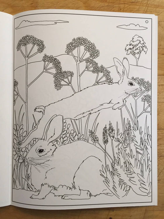 Coloring Book: From The Sea To The Trees