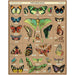 Vintage Inspired 1,000 Piece Puzzles - Art Department LLC