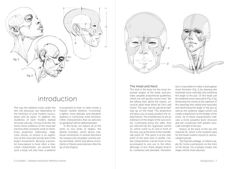Morpho: Skeleton And Bone Reference Points - Art Department LLC