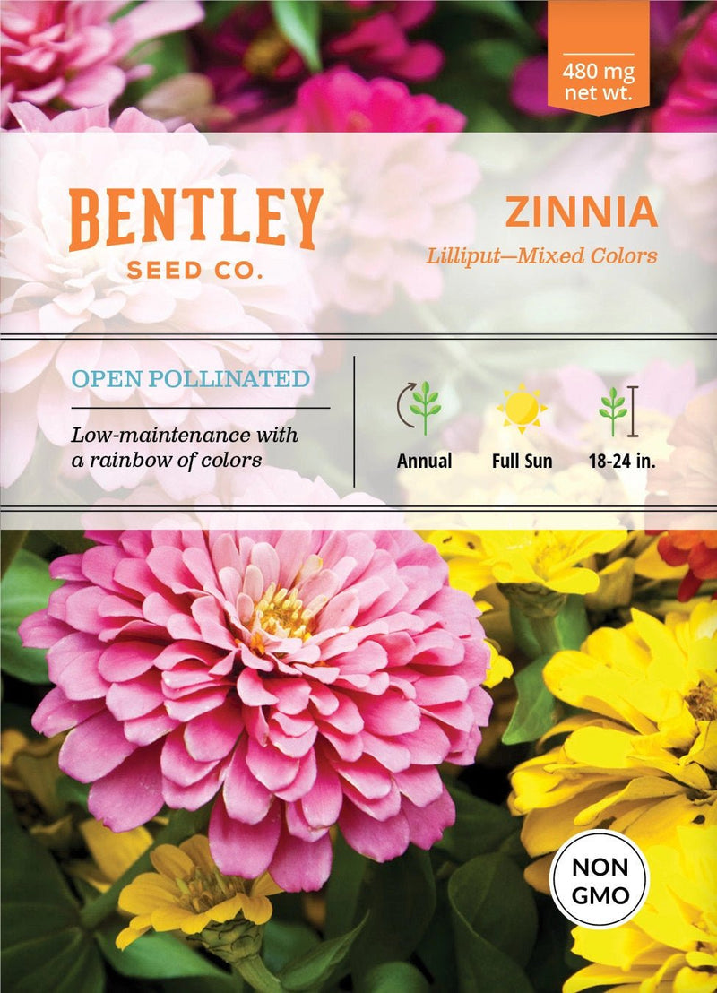 Bentley Seed Co. Seed Packets - Art Department LLC