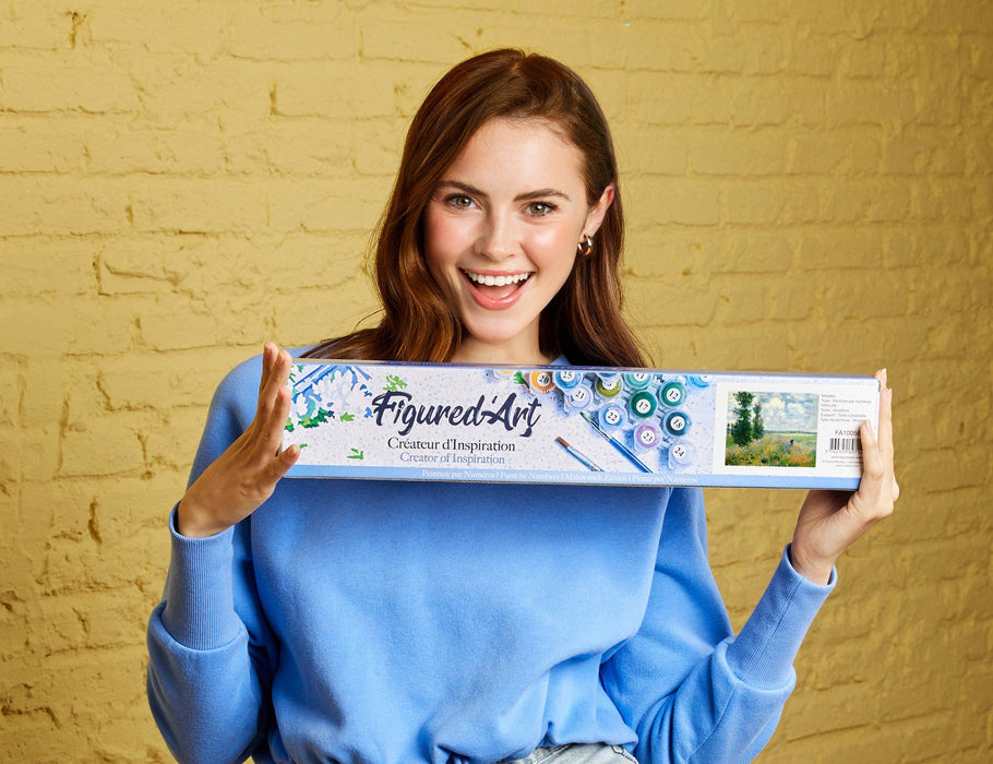 Paint by numbers - Monet Field of Poppies - Art Department LLC