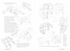 Morpho: Skeleton And Bone Reference Points - Art Department LLC