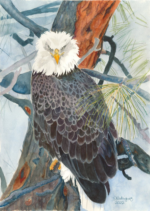 Watercolor Realism Open Studio with Sherree Rodriguez - Art Department LLC