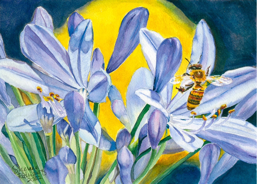 Watercolor Realism Open Studio with Sherree Rodriguez - Art Department LLC