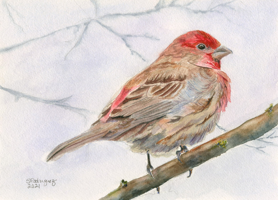 Winter 2024 Watercolor Realism Basics Class with Sherree Rodriguez